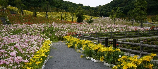 p1000742.jpg