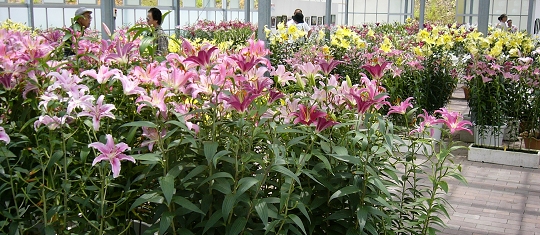 p1000723.jpg