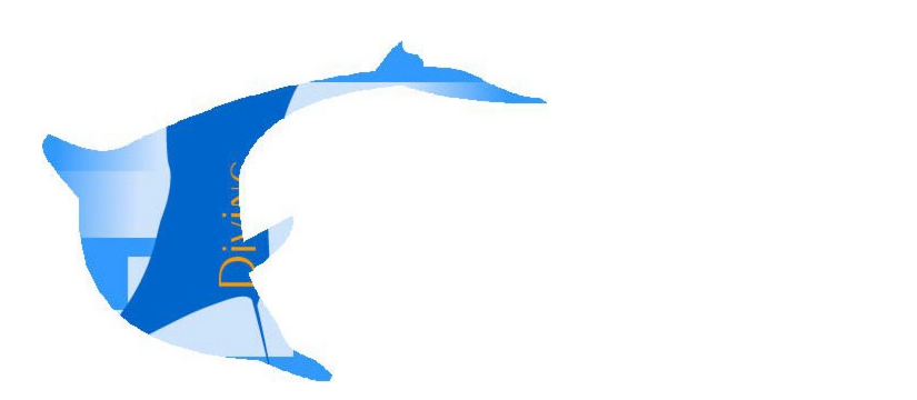8b9b15.jpg