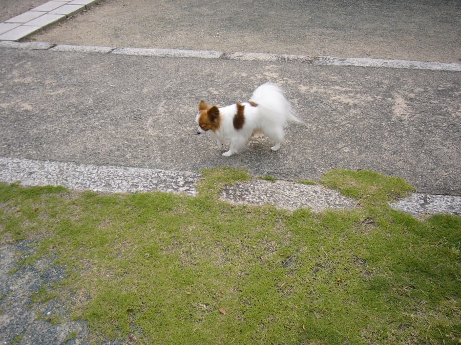 p1000615.jpg