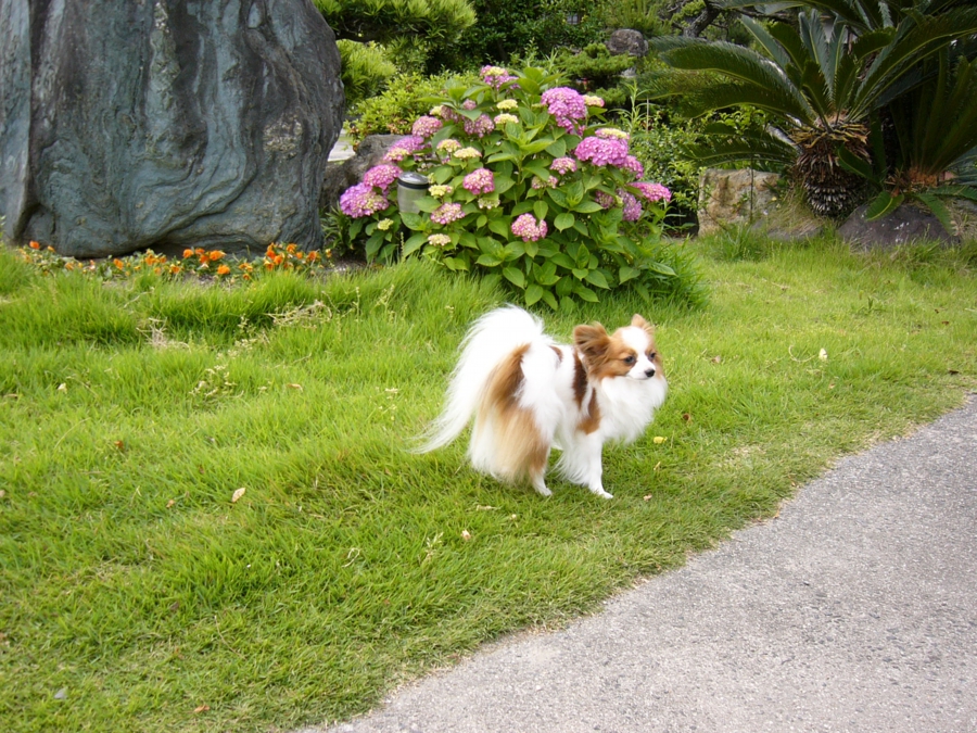 p1000616.jpg